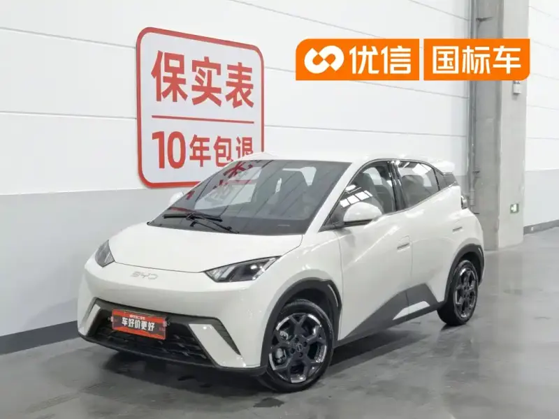 BYD Seagull