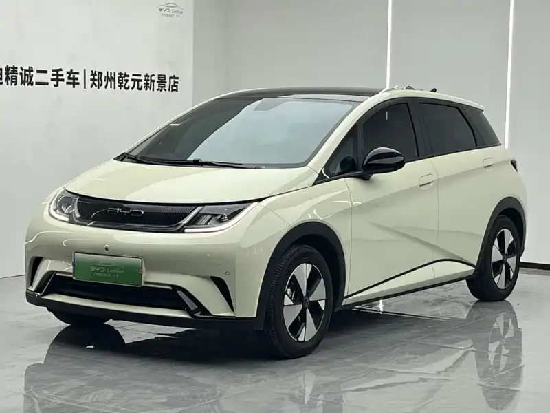 BYD Dolphin