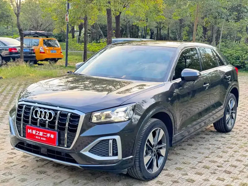 Audi Q2L