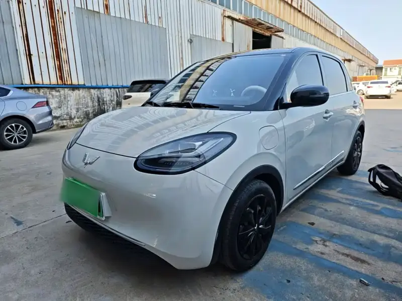 Wuling Bingo