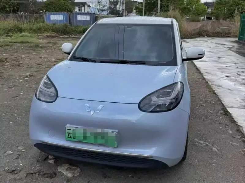 Wuling Bingo