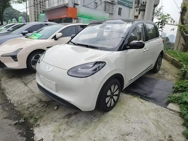 Wuling Bingo