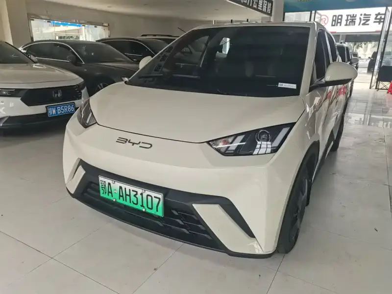 BYD Seagull