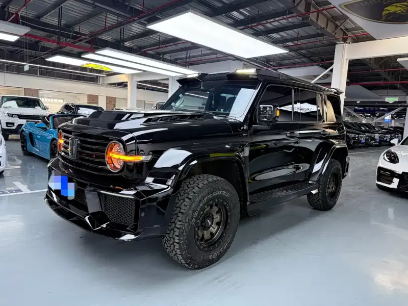 Tank 300