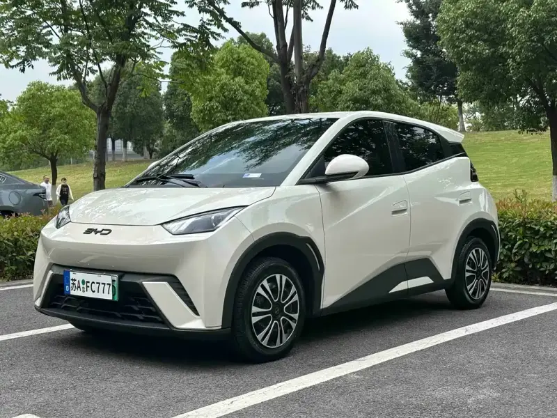 BYD Seagull