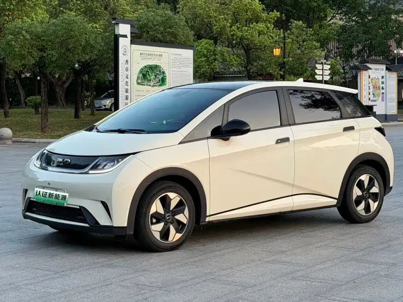 BYD Dolphin