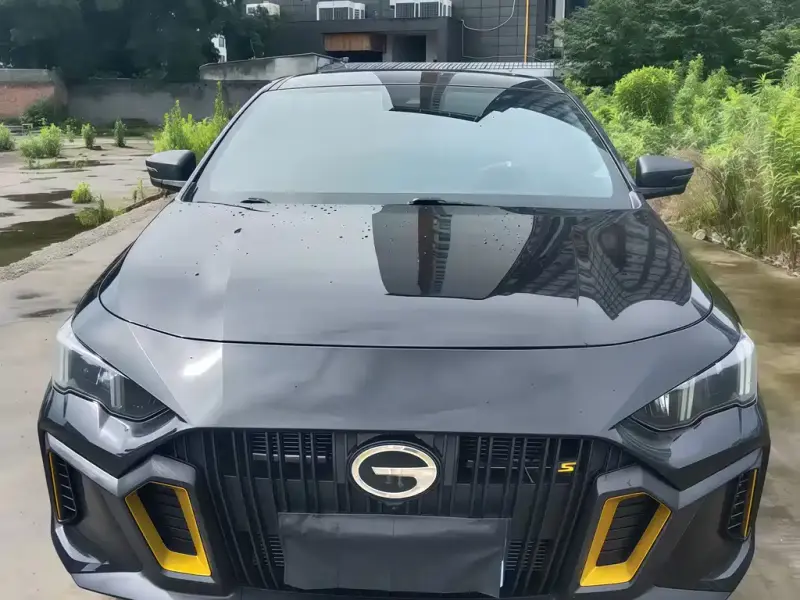 GAC Motor Empow (Shadow Leopard)