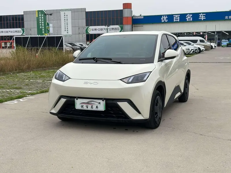 BYD Seagull