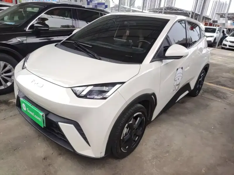 BYD Seagull