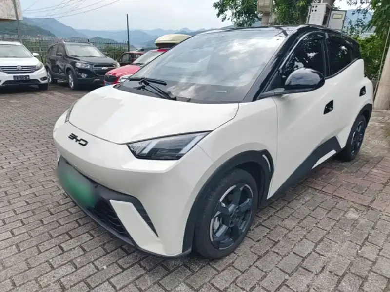 BYD Seagull