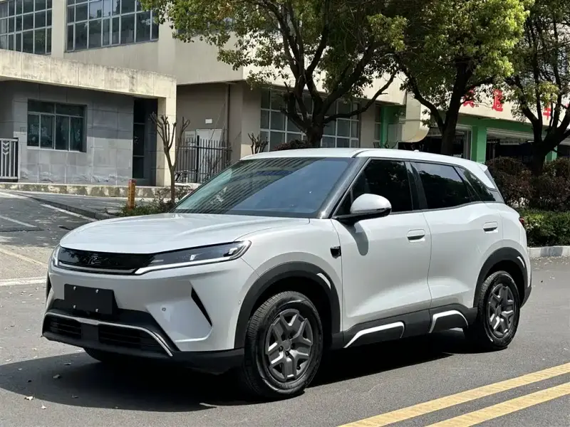 BYD Atto 2 (Yuan UP)