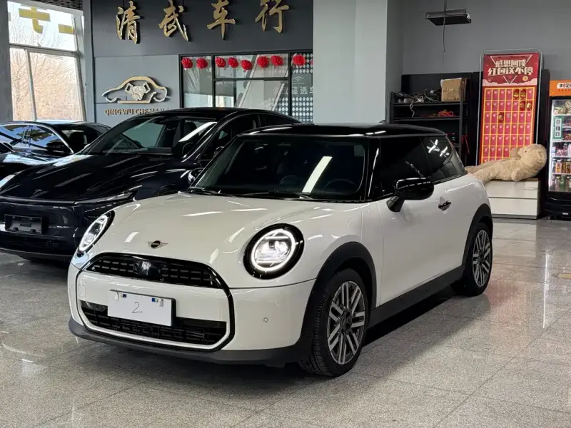 MINI Mini