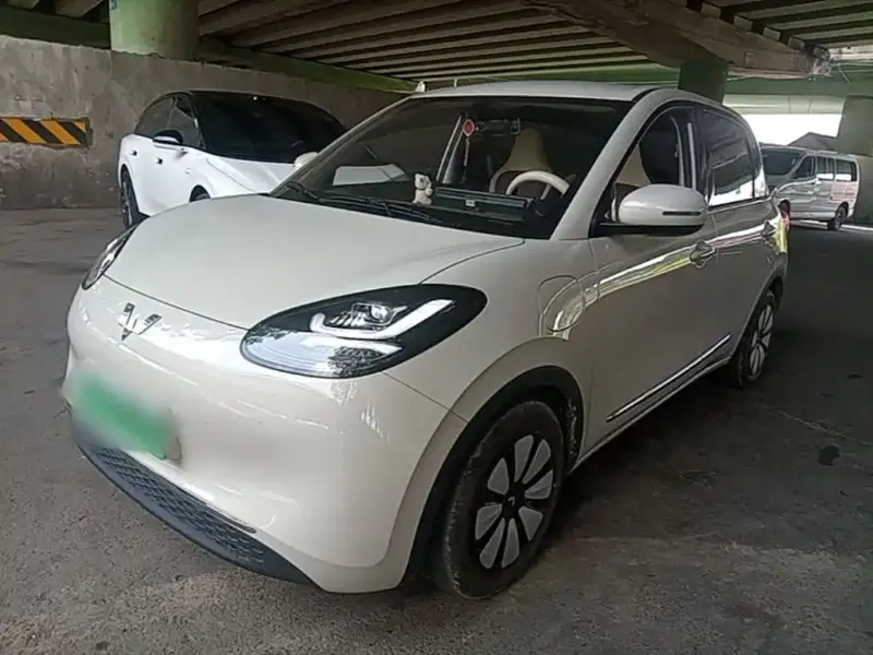 Wuling Bingo