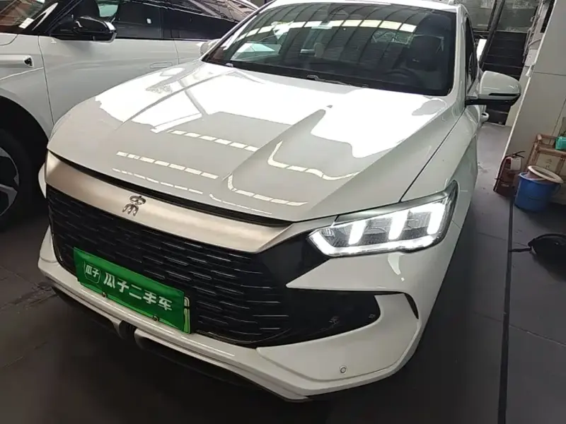 BYD Pro