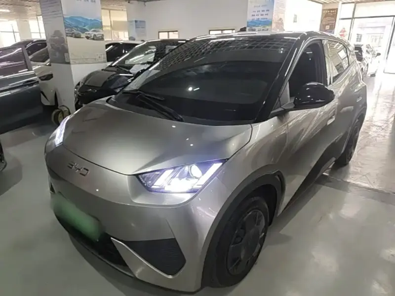 BYD Seagull