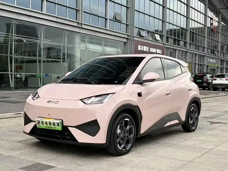BYD Seagull
