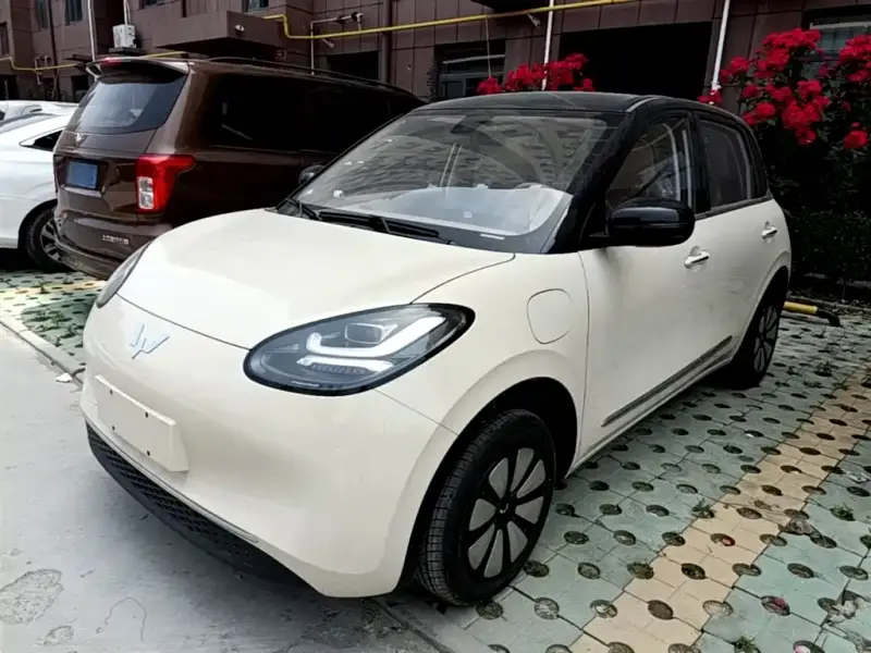 Wuling Bingo
