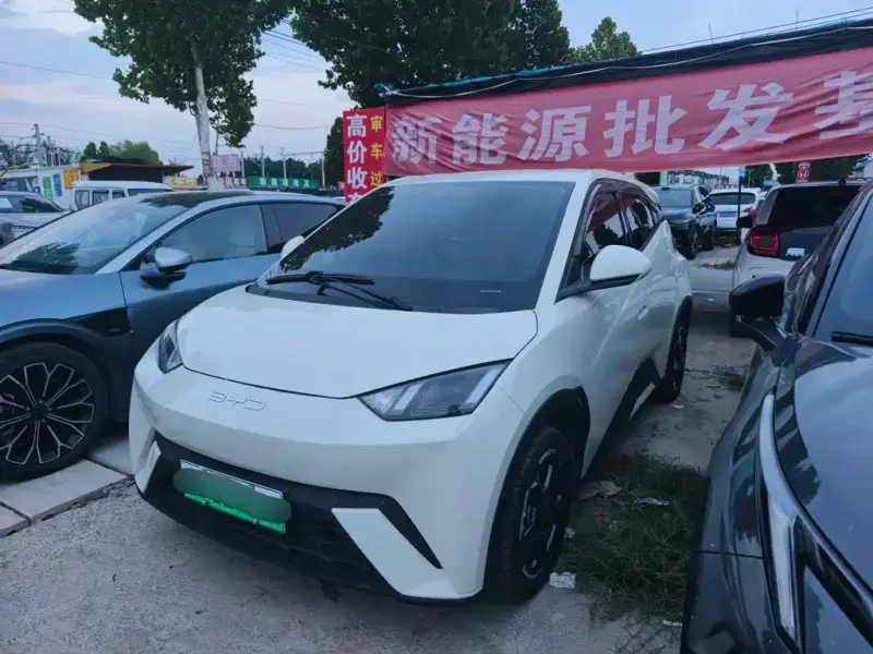 BYD Seagull
