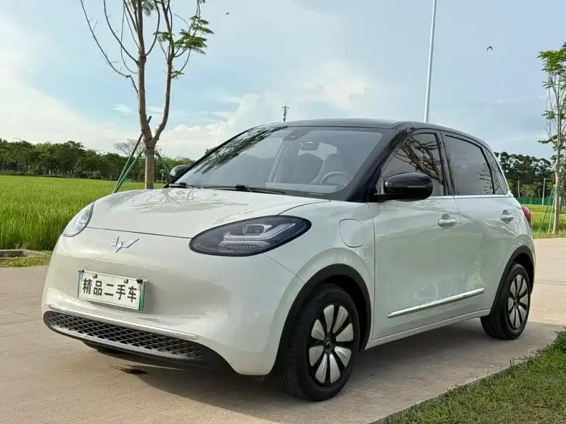 Wuling Bingo