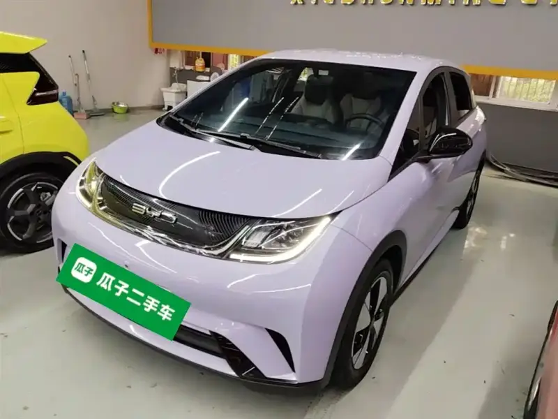 BYD Dolphin