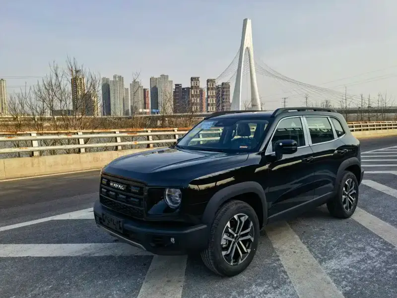 Haval Dargo (Big Dog)