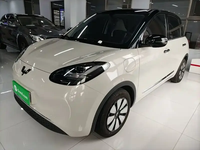 Wuling Bingo