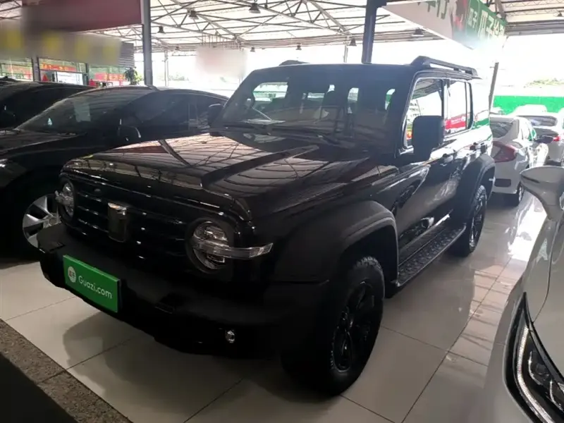 Tank 300