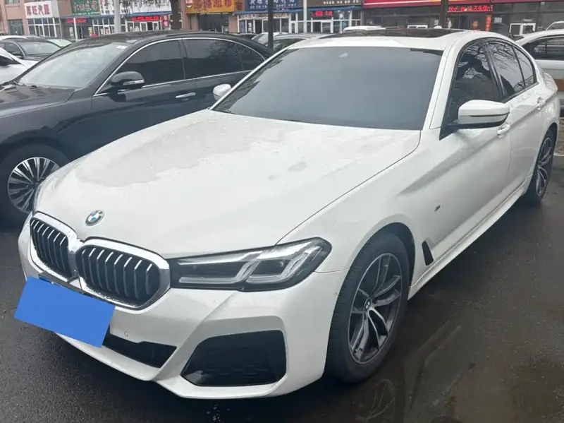 BMW 5 Series (Import)