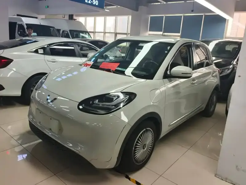 Wuling Bingo