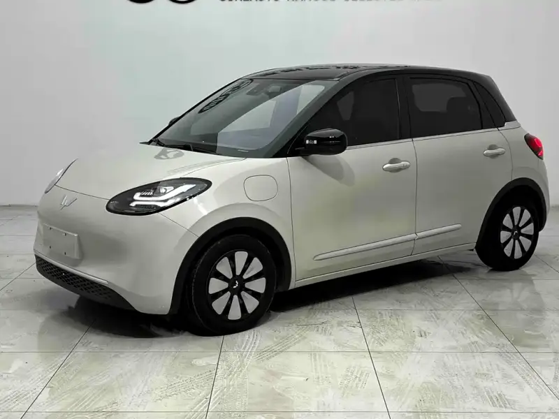 Wuling Bingo