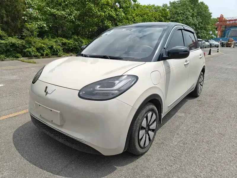 Wuling Bingo