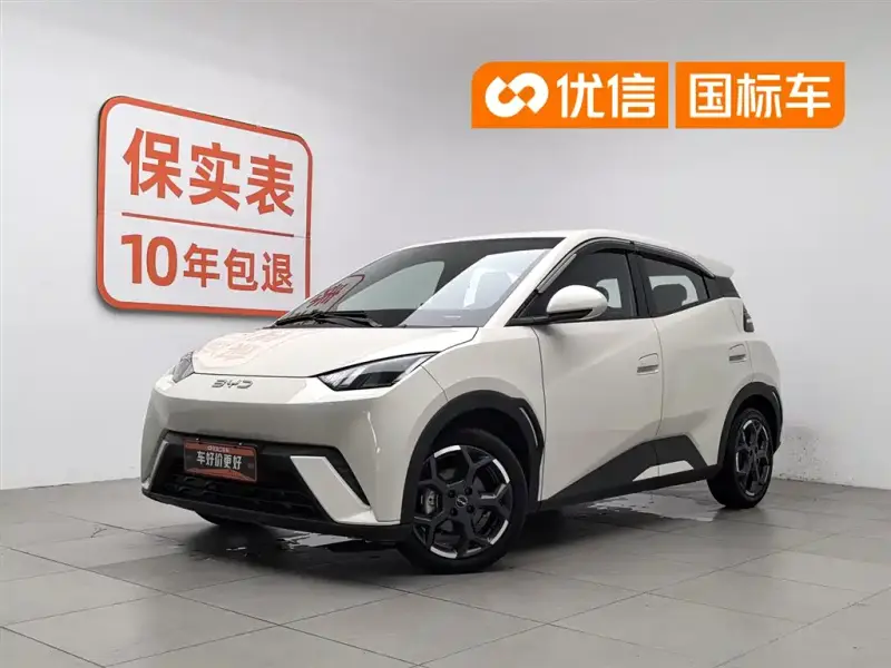 BYD Seagull