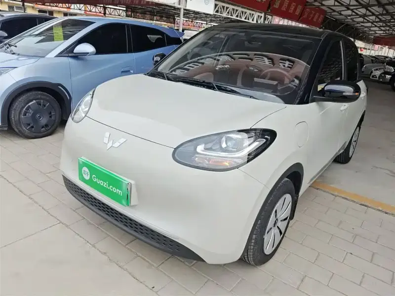 Wuling Bingo