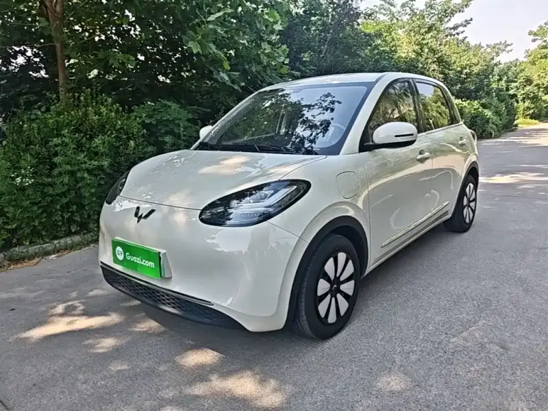 Wuling Bingo