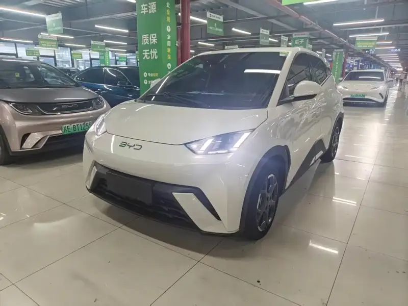 BYD Seagull
