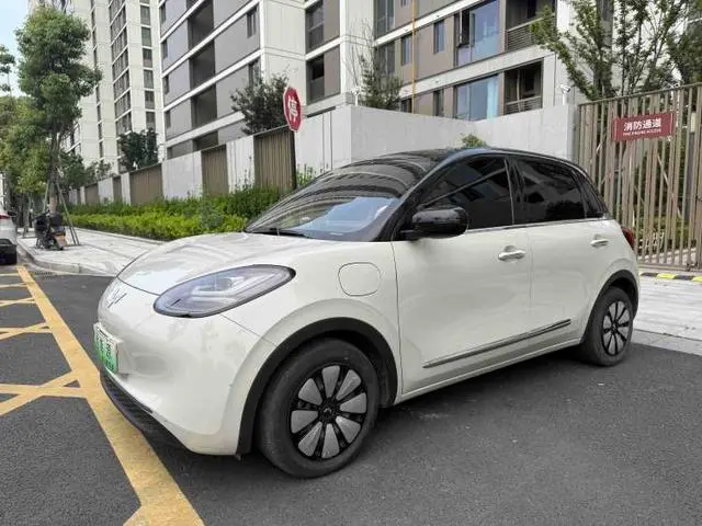Wuling Bingo