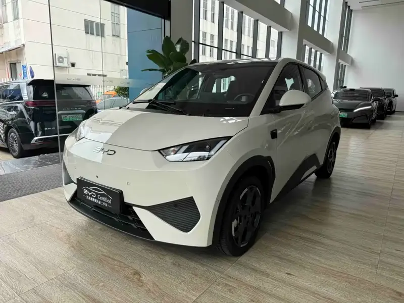 BYD Seagull
