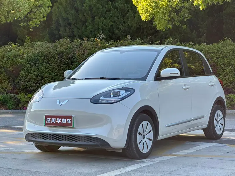 Wuling Bingo