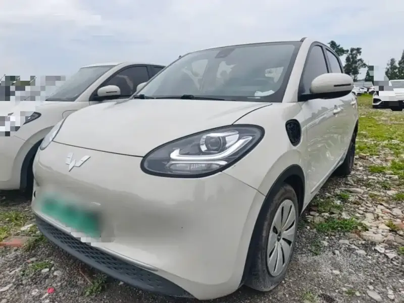 Wuling Bingo