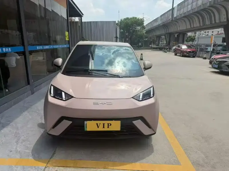 BYD Seagull