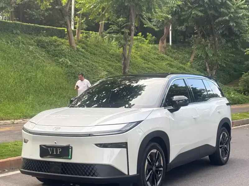 Toyota Bozhi 3X