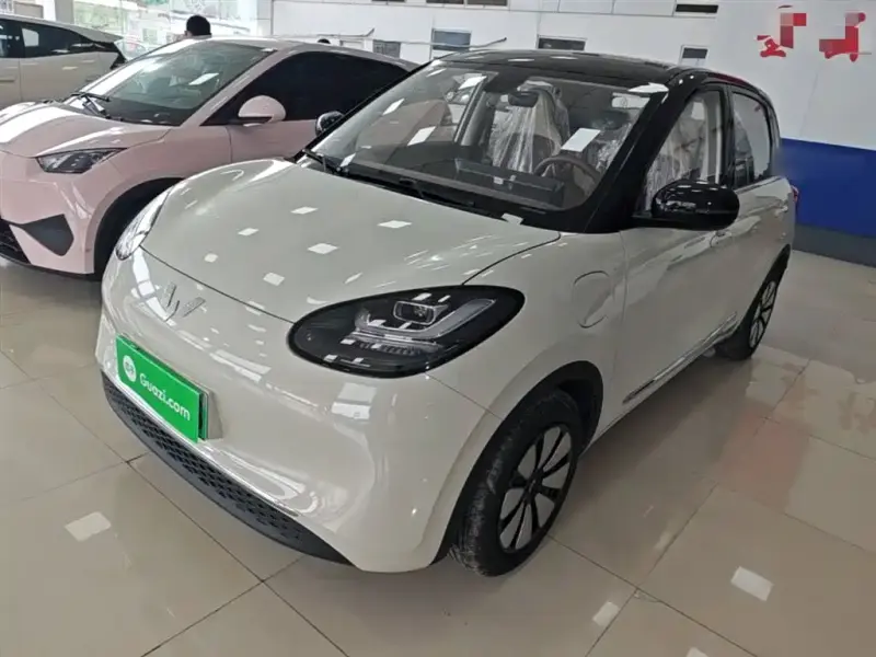 Wuling Bingo