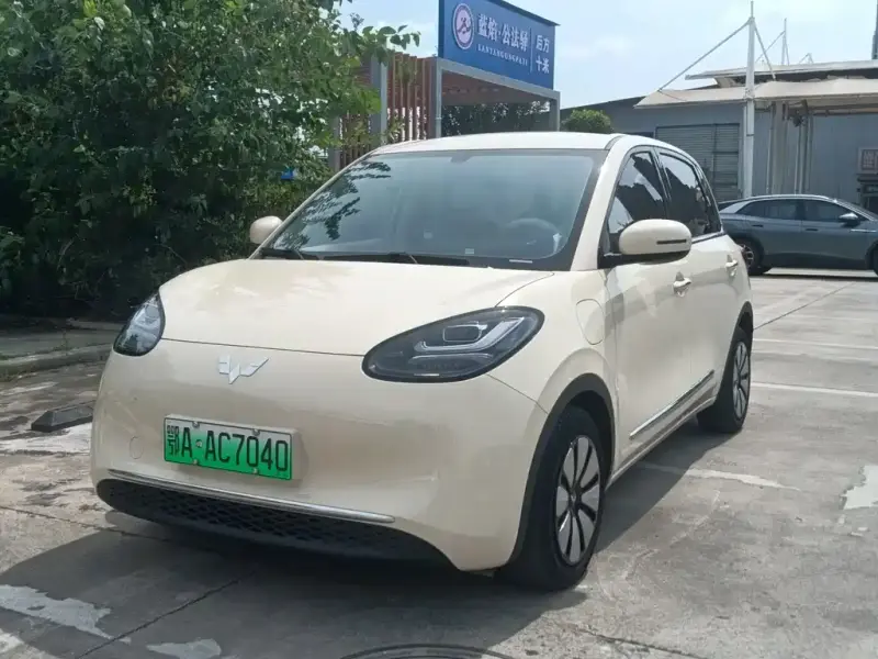 Wuling Bingo