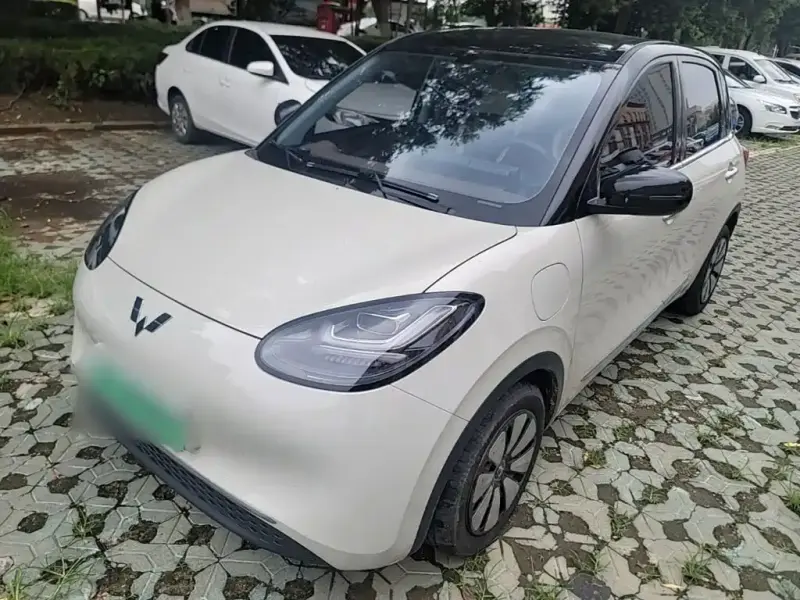 Wuling Bingo