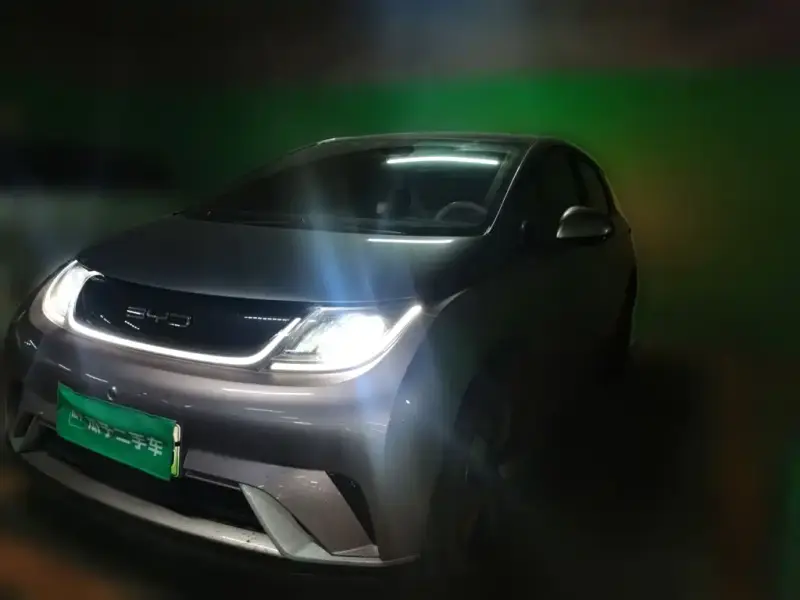 BYD Dolphin