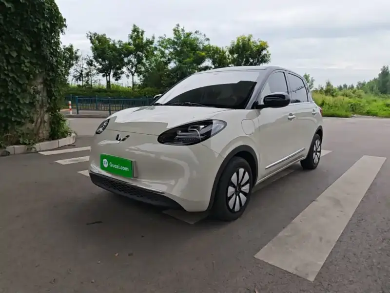 Wuling Bingo