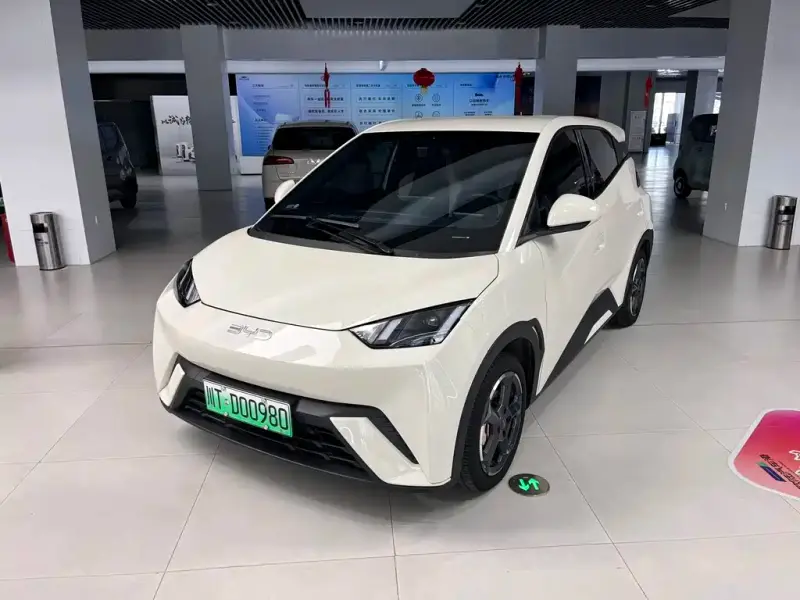 BYD Seagull