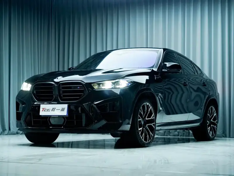BMW X6 M