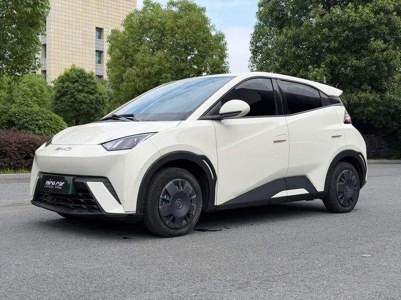 BYD Seagull
