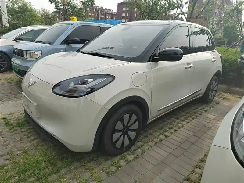 Wuling Bingo